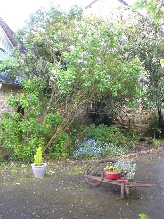 Gites De La Ferme Auberge De Mesauboin Billé المظهر الخارجي الصورة